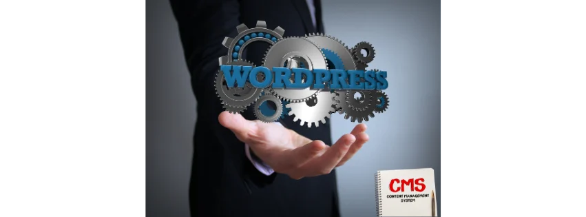 alphavidia wordpress cms
