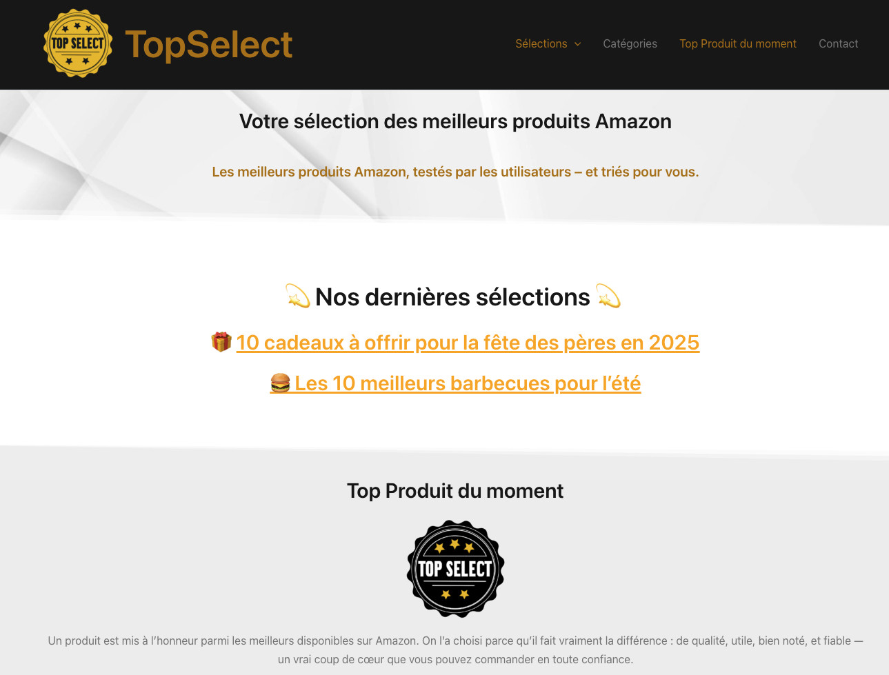 exemple réalisation sites web artisans top select