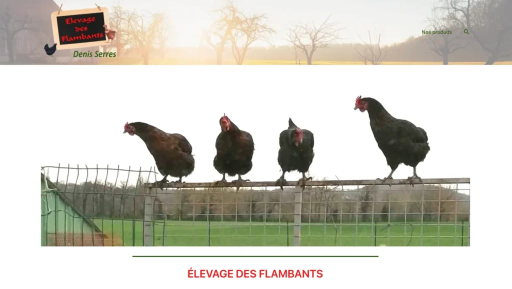 site élevage des flambants