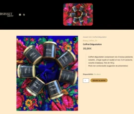 exemple réalisation sites web artisans bsisset saloua